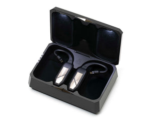 iFi Go pod